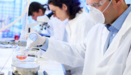 laboratorio