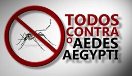 aedes