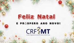 Red White Traditional Merry Christmas and Happy New Year Card