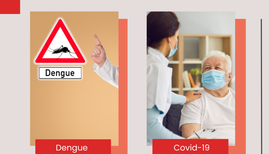 which one do you usually use