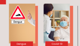 which one do you usually use