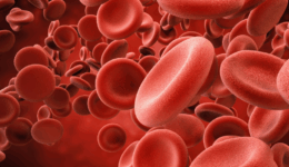 Cartaz do Dia Mundial da Malária com Foto Branco e Rosa (Post para Instagram) (1)